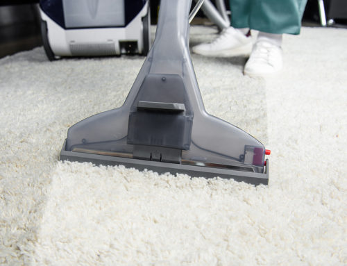 The Dirty Truth about Carpets: Why They’re One of the Dirtiest Things in Your House
