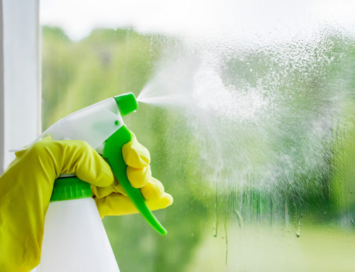 The Benefits of A Green Window Cleaning Service: Bringing Your Home to Life