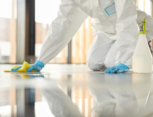 Floor Cleaning Services: How Much They Cost and the Benefits of Hiring Them