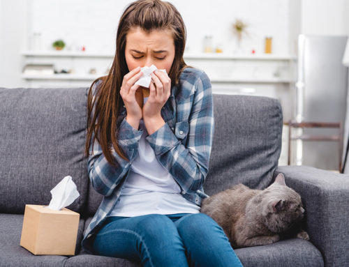 How to Reduce Indoor Allergens in Your Home