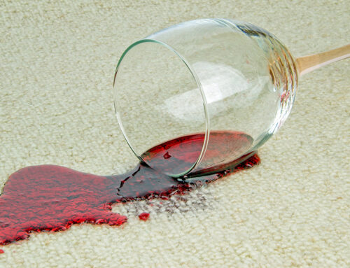 How to Remove Stains from Carpet: A Guide To Keep Your Carpets Spotless