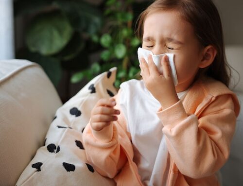 Breathe Easy: Enhancing Indoor Air Quality in Minnesota Homes During Spring Allergy Season with Minnesota Home Cleaning Services