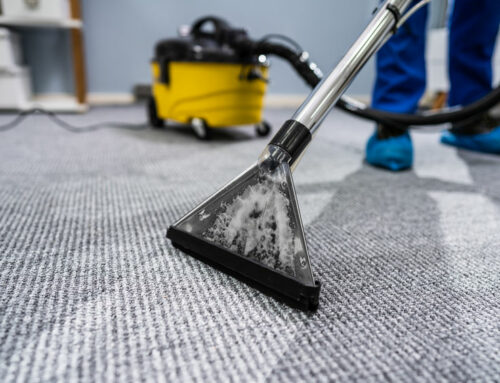 The Art and Science of Carpet Cleaning: A Guide for Commercial and Residential Spaces